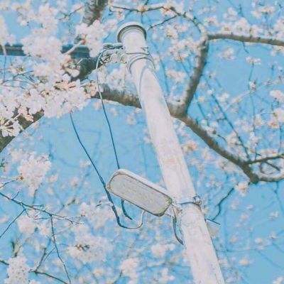 小鱼传奇官方手游(暂未上线)v1.0 安卓版